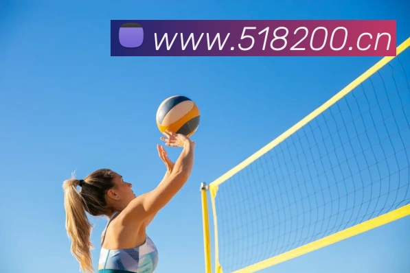 星空体育全站官网APP 封面图